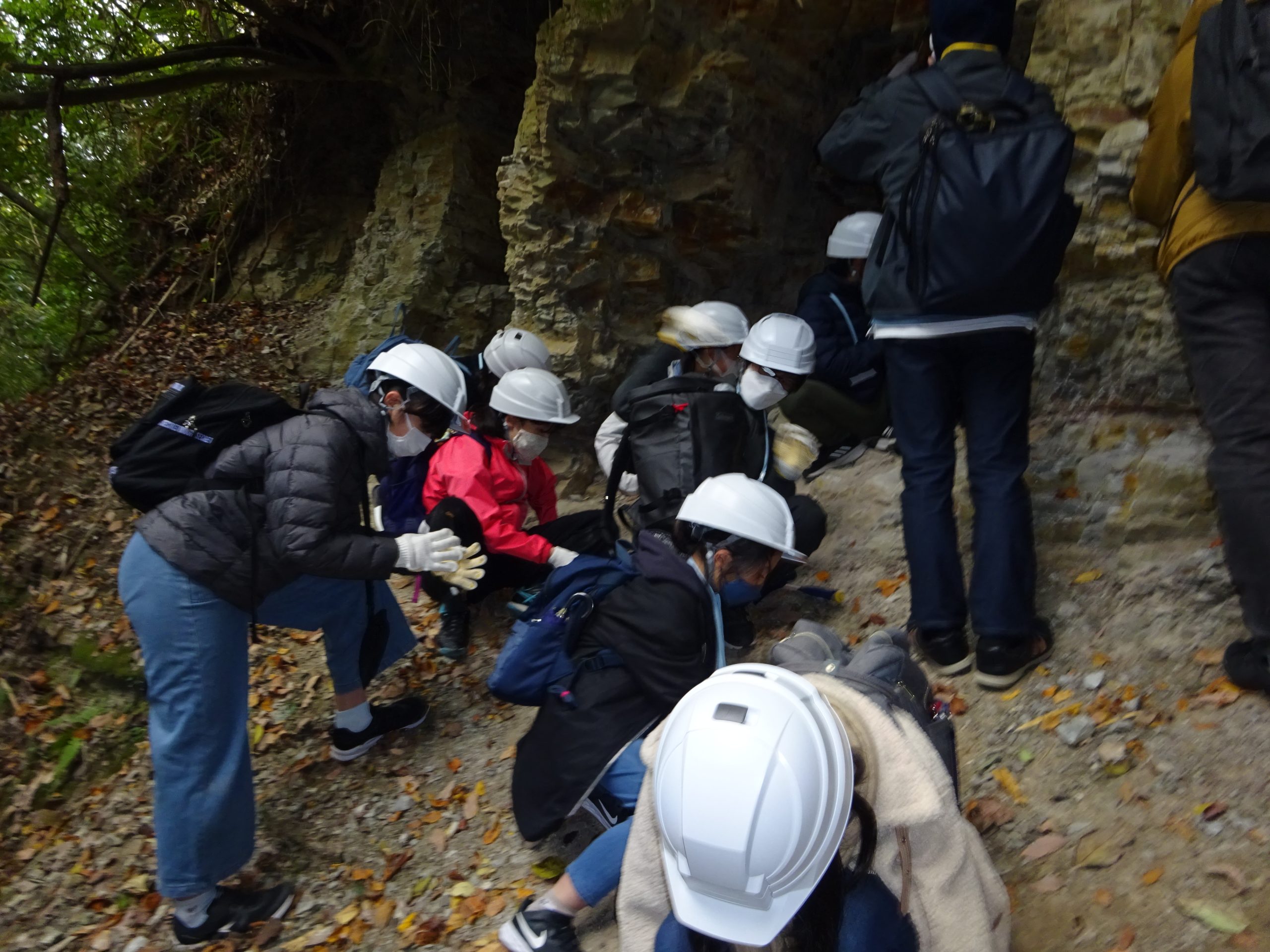 神戸層群露頭観察と植物化石探索体験